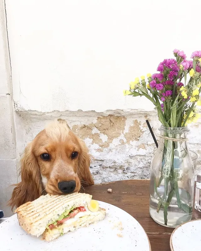 Lazaris BakeryBar