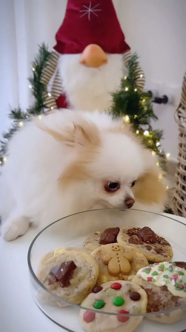 Lay Louis Cookies