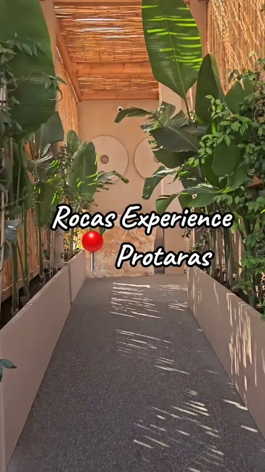 Rocas Experience