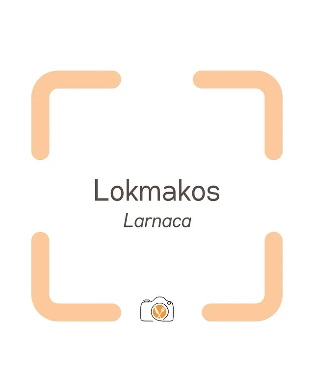 Lokmakos