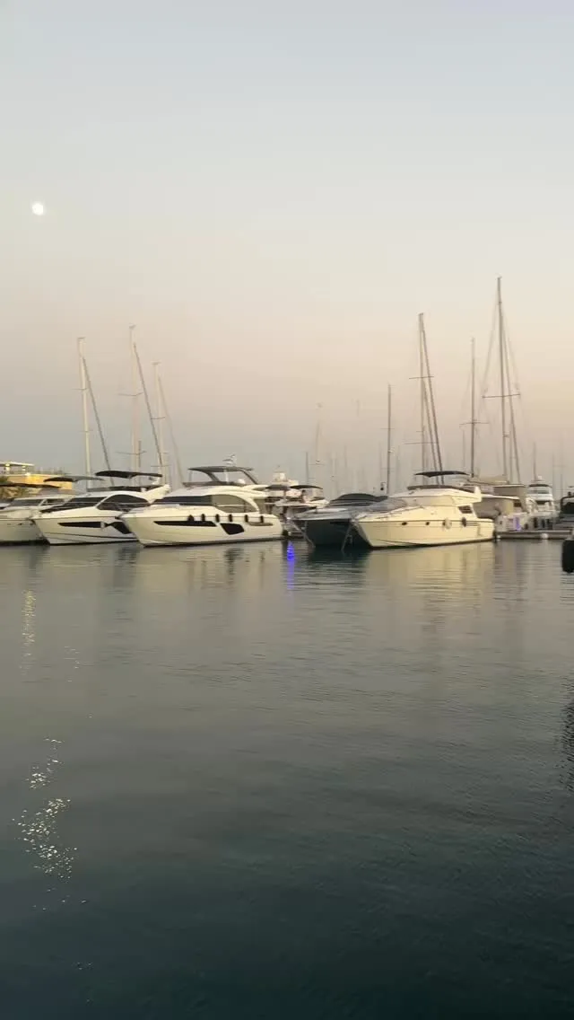 Marina Breeze