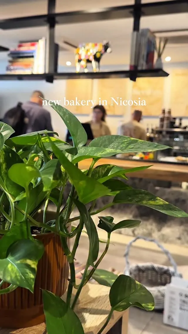 Seedari Bakehouse